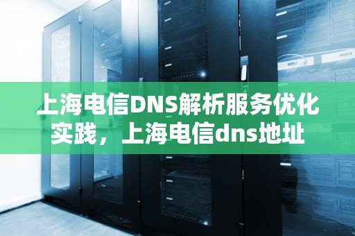 上海电信DNS解析服务优化实践，上海电信dns地址