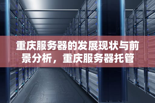 重庆服务器的发展现状与前景分析，重庆服务器托管