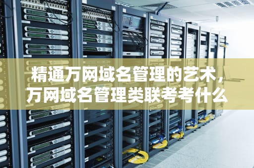 精通万网域名管理的艺术，万网域名管理类联考考什么