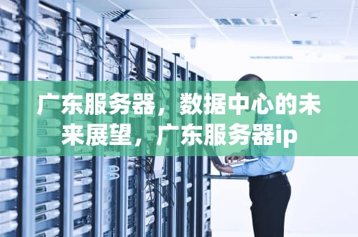 广东服务器，数据中心的未来展望，广东服务器ip