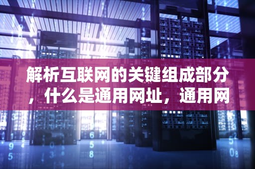 解析互联网的关键组成部分，什么是通用网址，通用网址有用吗