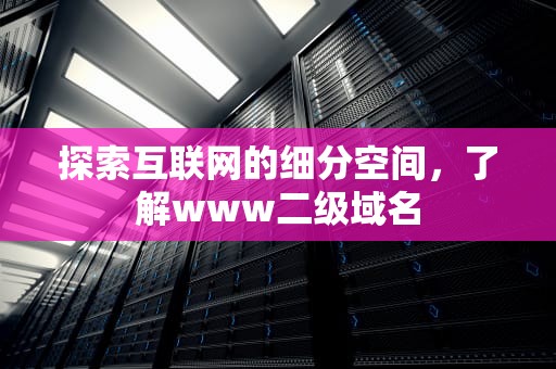 探索互联网的细分空间，了解www二级域名