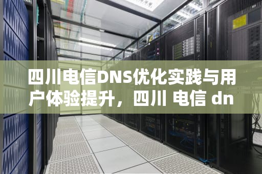 四川电信DNS优化实践与用户体验提升，四川 电信 dns