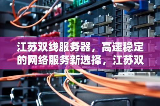 江苏双线服务器，高速稳定的网络服务新选择，江苏双线服务器租用