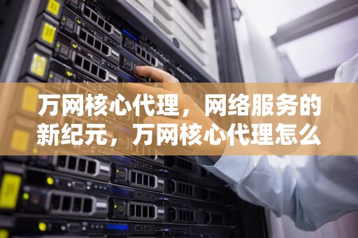 万网核心代理，网络服务的新纪元，万网核心代理怎么样