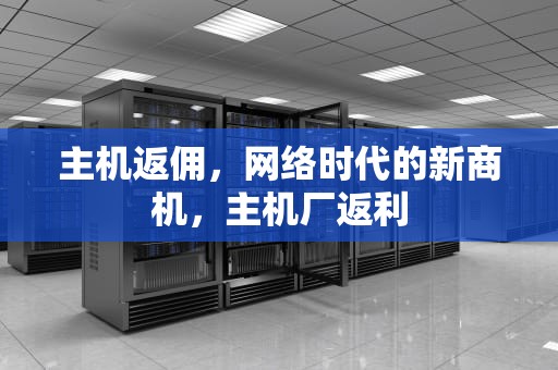 主机返佣，网络时代的新商机，主机厂返利
