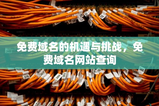 免费域名的机遇与挑战，免费域名网站查询