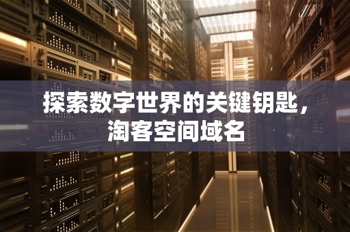 探索数字世界的关键钥匙，淘客空间域名