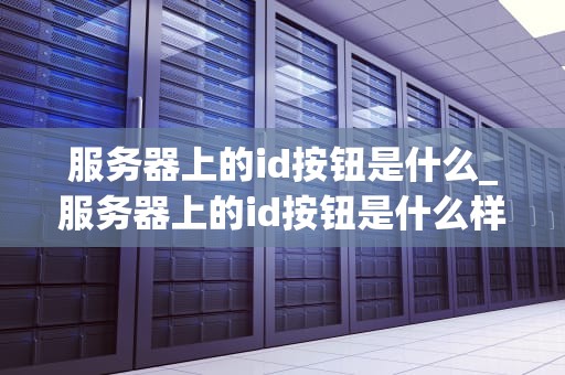服务器上的id按钮是什么_服务器上的id按钮是什么样的_服务器上的ID按钮：功能、应用与管理