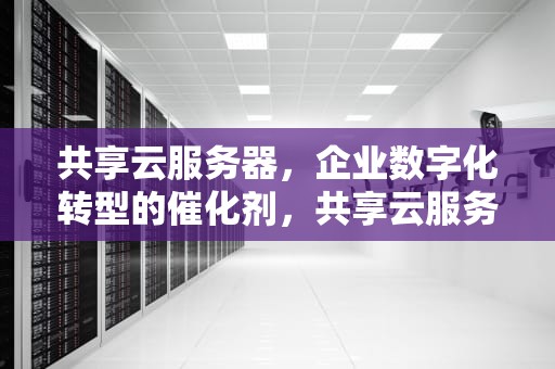 共享云服务器，企业数字化转型的催化剂，共享云服务器是什么