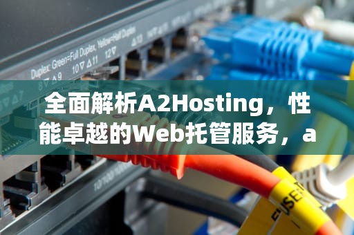 全面解析A2Hosting，性能卓越的Web托管服务，a2hosting速度