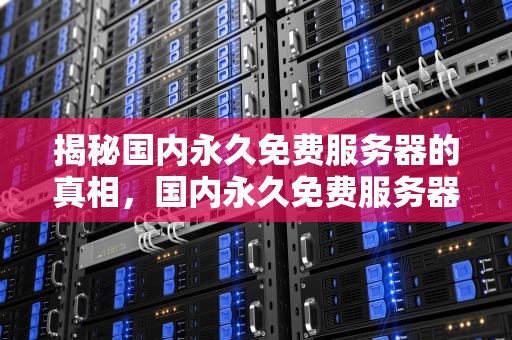 揭秘国内永久免费服务器的真相，国内永久免费服务器排行榜
