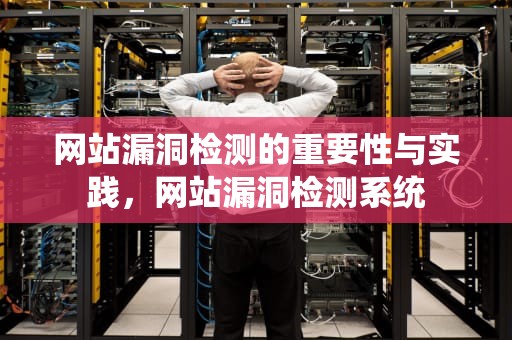 网站漏洞检测的重要性与实践，网站漏洞检测系统