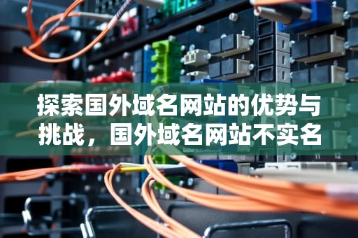 探索国外域名网站的优势与挑战，国外域名网站不实名