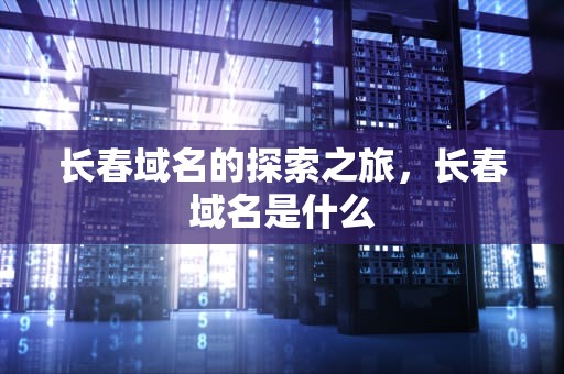 长春域名的探索之旅，长春域名是什么