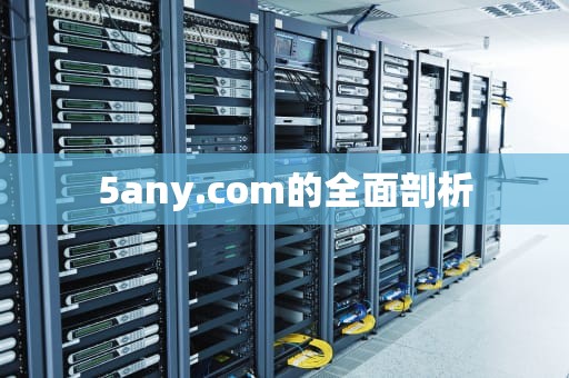 5any.com的全面剖析