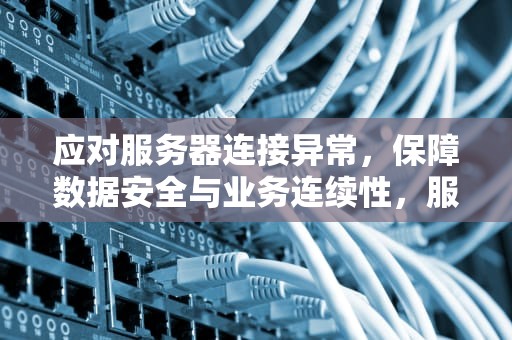 应对服务器连接异常，保障数据安全与业务连续性，服务器连接异常 即将退出怎么办