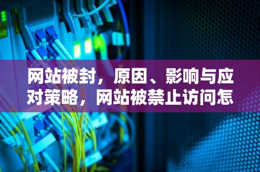网站被封，原因、影响与应对策略，网站被禁止访问怎么打开