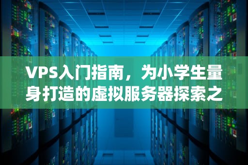 VPS入门指南，为小学生量身打造的虚拟服务器探索之旅，vps小学生博客