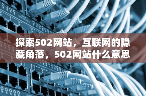 探索502网站，互联网的隐藏角落，502网站什么意思