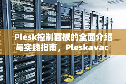 Plesk控制面板的全面介绍与实践指南，Pleskavac kolo