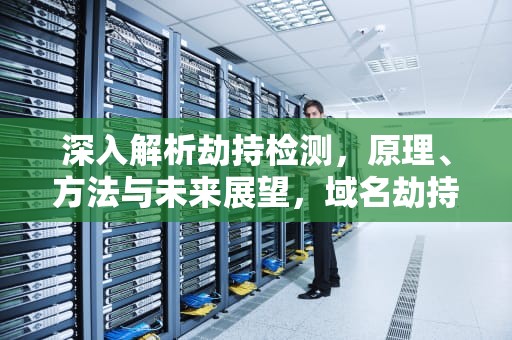 深入解析劫持检测，原理、方法与未来展望，域名劫持检测
