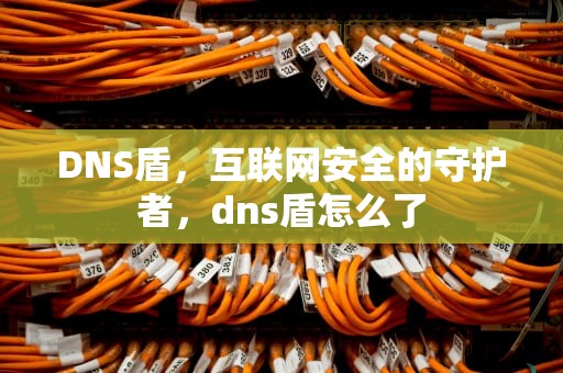 DNS盾，互联网安全的守护者，dns盾怎么了