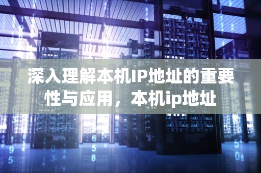 深入理解本机IP地址的重要性与应用，本机ip地址
