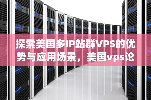 探索美国多IP站群VPS的优势与应用场景，美国vps论坛