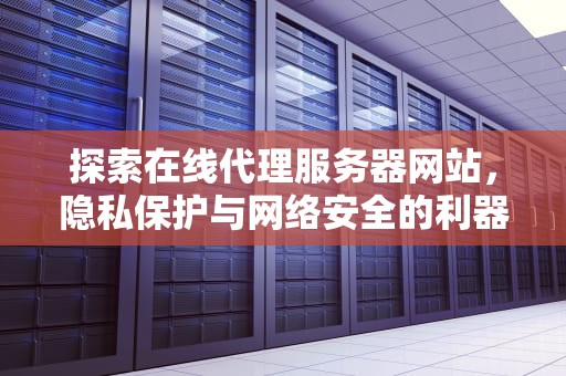 探索在线代理服务器网站，隐私保护与网络安全的利器，在线代理服务器网站web