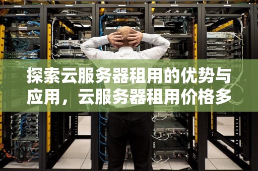 探索云服务器租用的优势与应用，云服务器租用价格多少钱一年