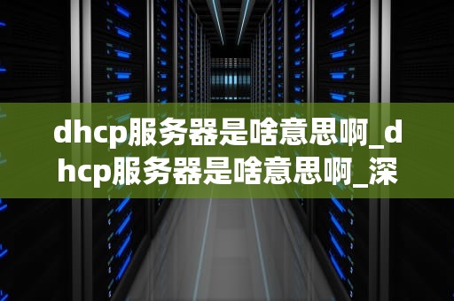 dhcp服务器是啥意思啊_dhcp服务器是啥意思啊_深入理解DHCP服务器