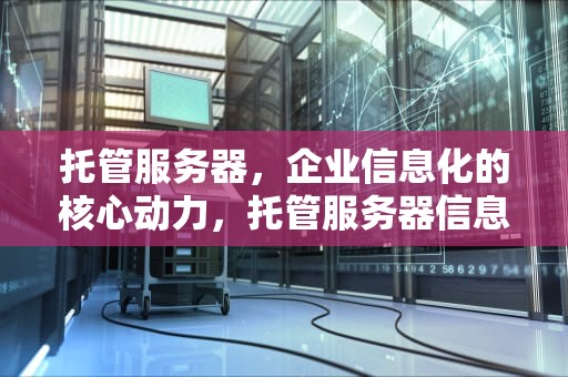 托管服务器，企业信息化的核心动力，托管服务器信息