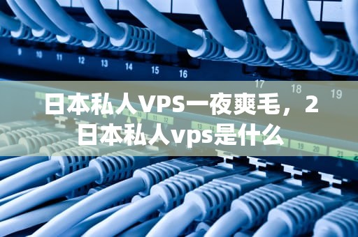 日本私人VPS一夜爽毛，2日本私人vps是什么