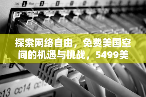 探索网络自由，免费美国空间的机遇与挑战，5499美国免费空间