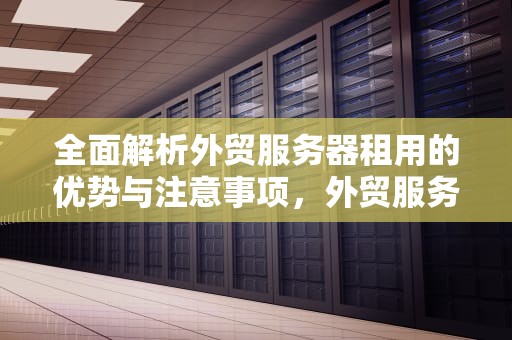全面解析外贸服务器租用的优势与注意事项，外贸服务器租用多少钱