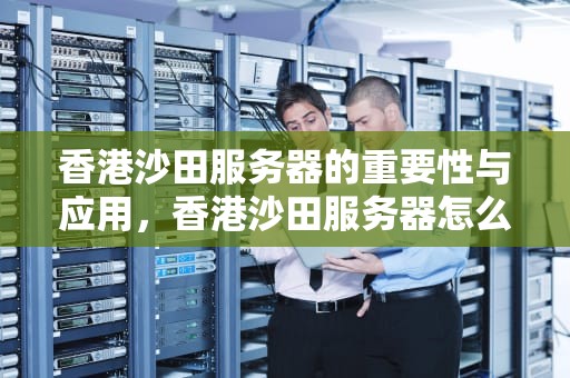 香港沙田服务器的重要性与应用，香港沙田服务器怎么样