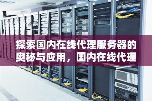 探索国内在线代理服务器的奥秘与应用，国内在线代理服务器有哪些