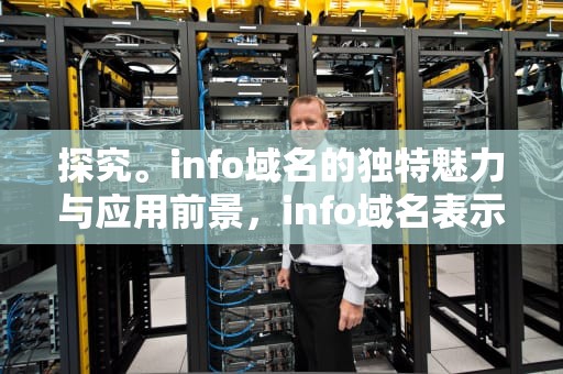 探究。info域名的独特魅力与应用前景，info域名表示的是什么
