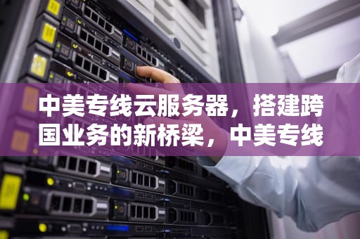 中美专线云服务器，搭建跨国业务的新桥梁，中美专线云服务器怎么用