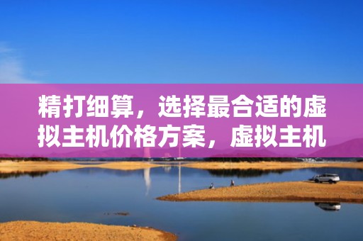 精打细算，选择最合适的虚拟主机价格方案，虚拟主机价格一般多少钱