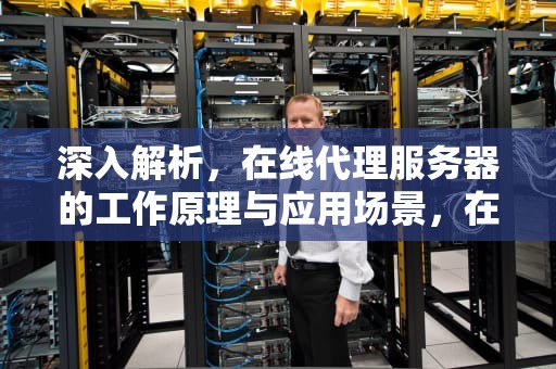 深入解析，在线代理服务器的工作原理与应用场景，在线代理服务器入口