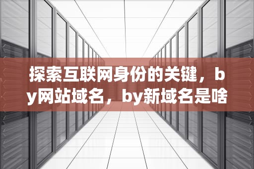 探索互联网身份的关键，by网站域名，by新域名是啥