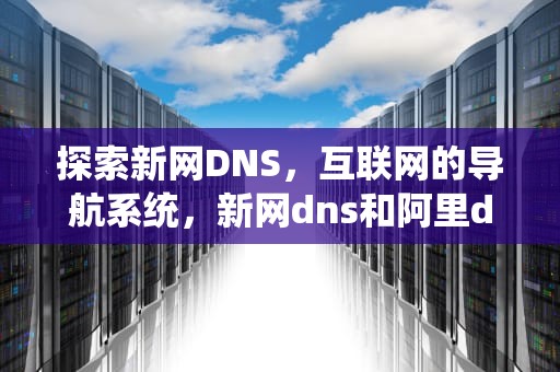 探索新网DNS，互联网的导航系统，新网dns和阿里dns