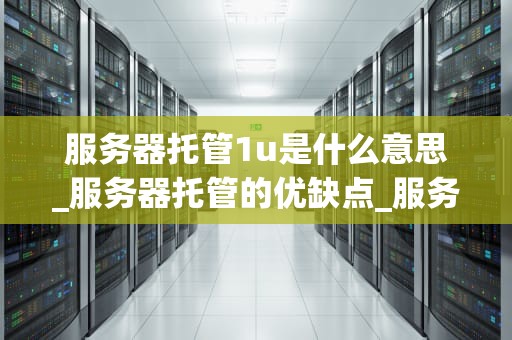 服务器托管1u是什么意思_服务器托管的优缺点_服务器托管1U的含义及其重要性