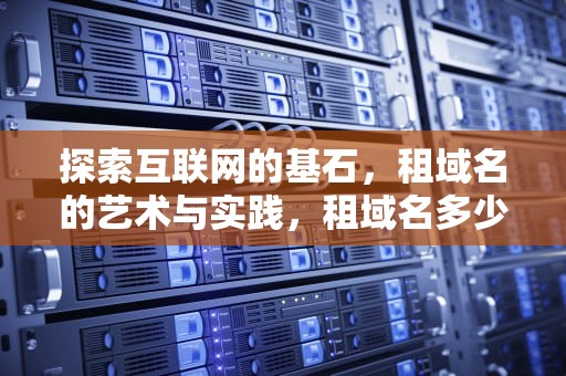 探索互联网的基石，租域名的艺术与实践，租域名多少钱