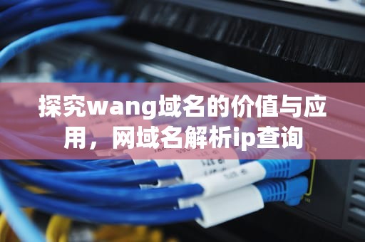探究wang域名的价值与应用，网域名解析ip查询
