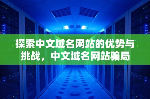 探索中文域名网站的优势与挑战，中文域名网站骗局