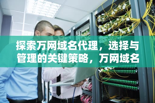 探索万网域名代理，选择与管理的关键策略，万网域名代理平台是什么