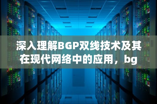 深入理解BGP双线技术及其在现代网络中的应用，bgp双线路主备实验